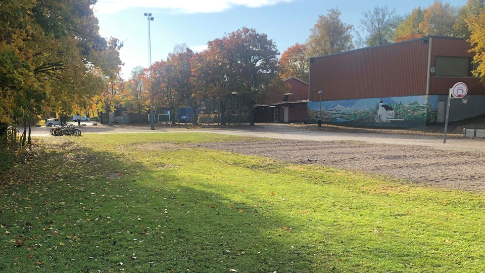 Bälinge skolas gamla utemiljö med gräsyta och basketkorg