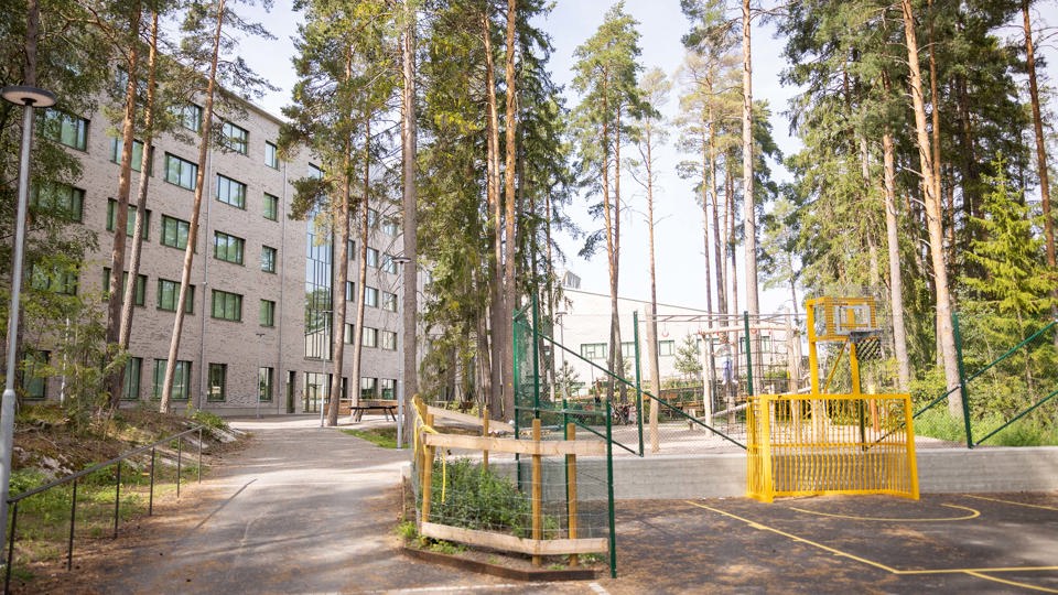 Skolgård med höga träd, basketkorg och klätterställningar.