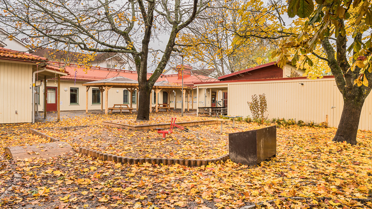 Kims förskola överblick av byggnaden och en lövig skolgården